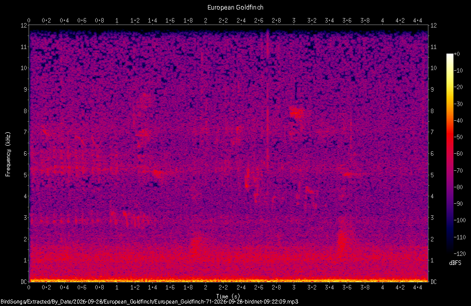Spectrogram of a European Goldfinch recorded at 09:22:09