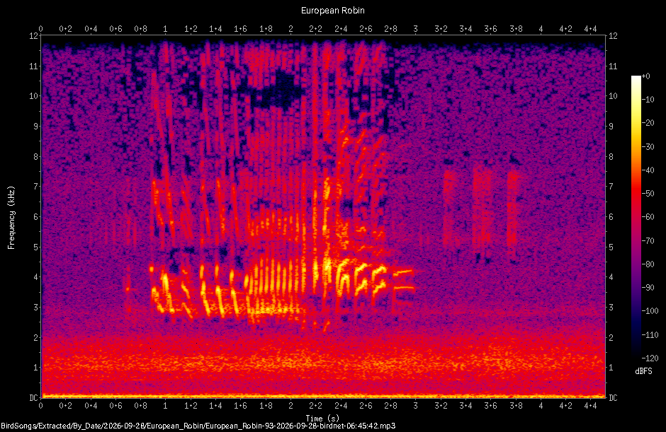 Spectrogram of a European Robin recorded at 06:45:42