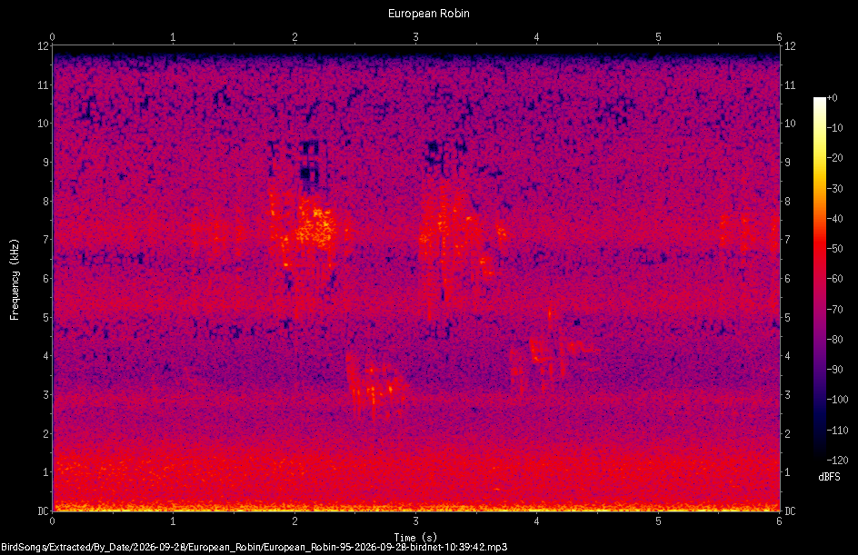 Spectrogram of a European Robin recorded at 10:39:42
