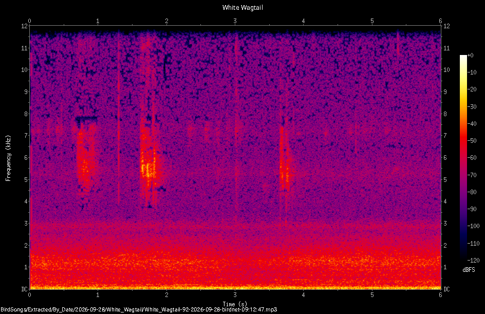 Spectrogram of a White Wagtail recorded at 09:12:47