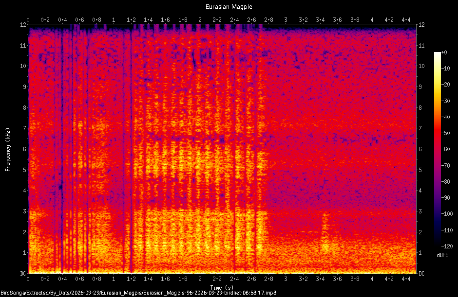 Spectrogram of a Eurasian Magpie recorded at 08:53:17