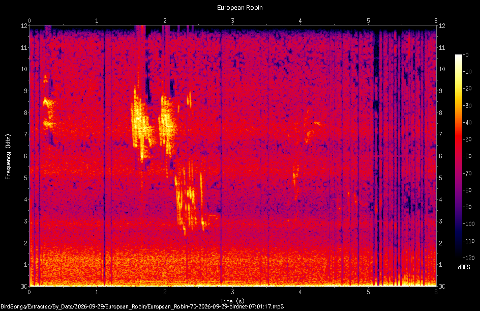 Spectrogram of a European Robin recorded at 07:01:17