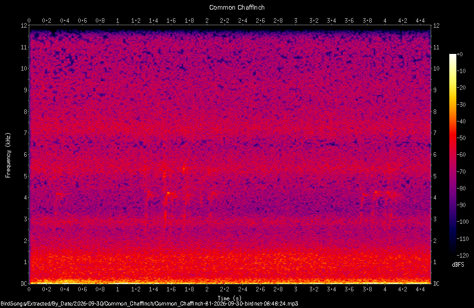 Spectrogram of a Common Chaffinch recorded at 08:48:24