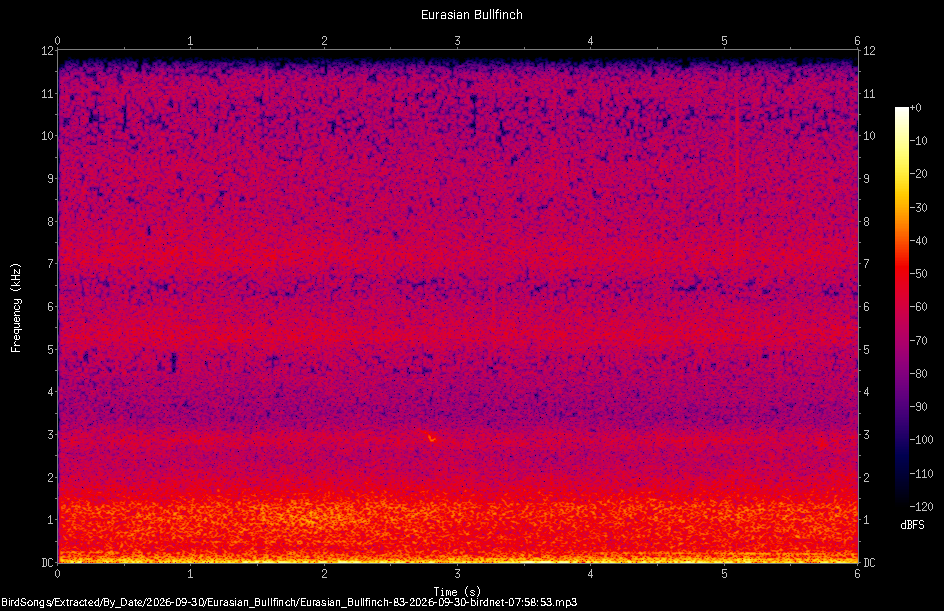 Spectrogram of a Eurasian Bullfinch recorded at 07:58:53