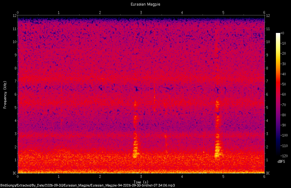 Spectrogram of a Eurasian Magpie recorded at 07:34:06