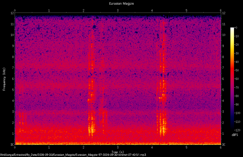 Spectrogram of a Eurasian Magpie recorded at 07:40:51