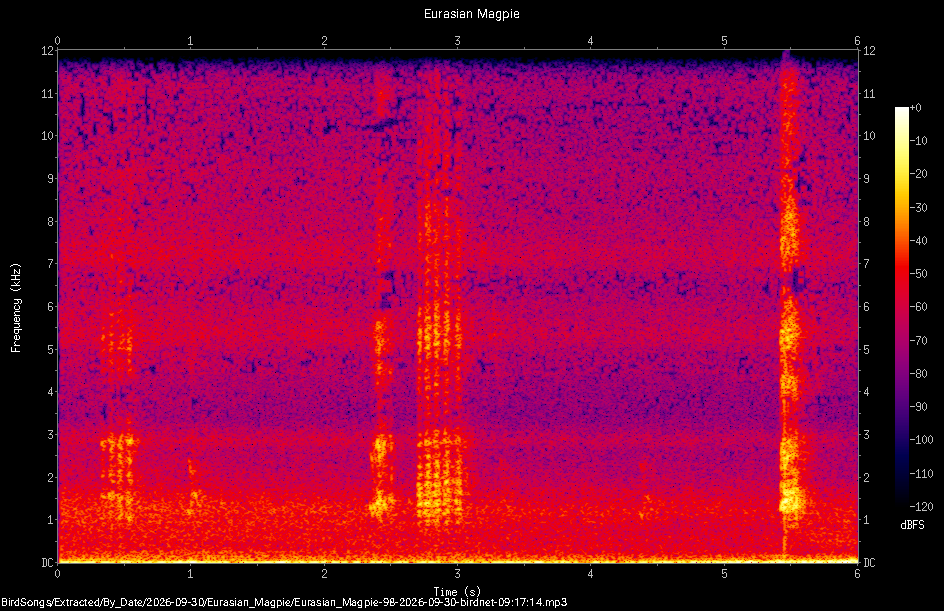 Spectrogram of a Eurasian Magpie recorded at 09:17:14