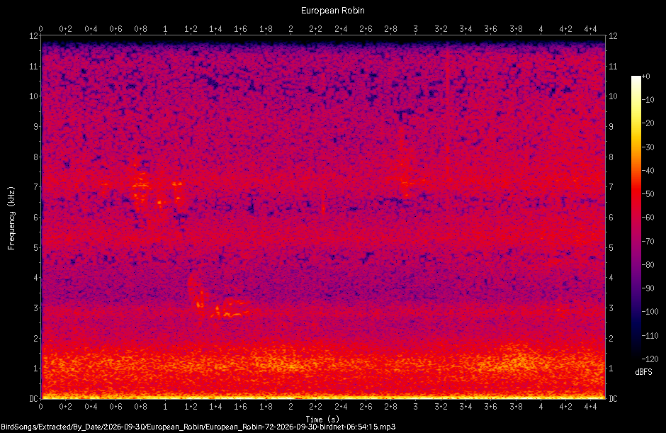 Spectrogram of a European Robin recorded at 06:54:15