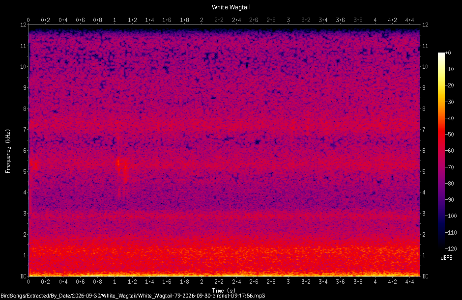 Spectrogram of a White Wagtail recorded at 09:17:56