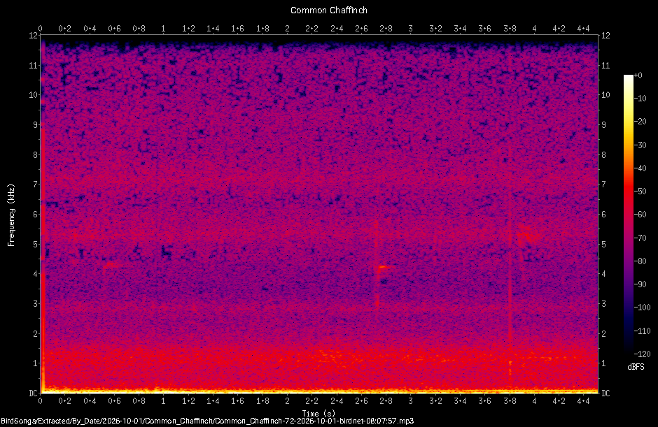 Spectrogram of a Common Chaffinch recorded at 08:07:57