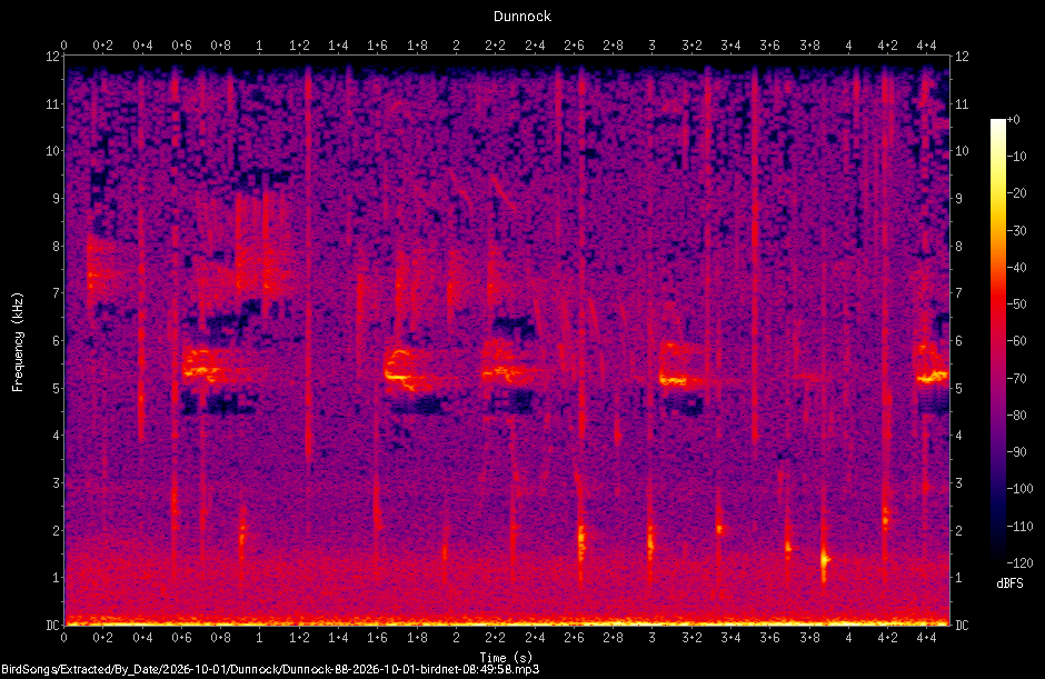 Spectrogram of a Dunnock recorded at 08:49:58