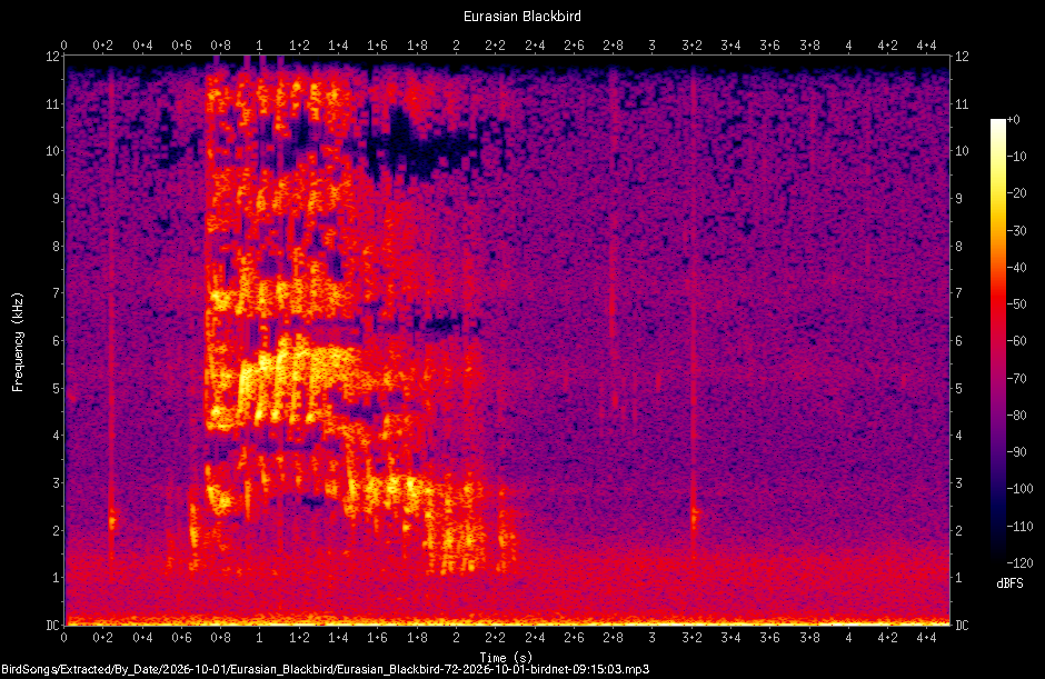 Spectrogram of a Eurasian Blackbird recorded at 09:15:03
