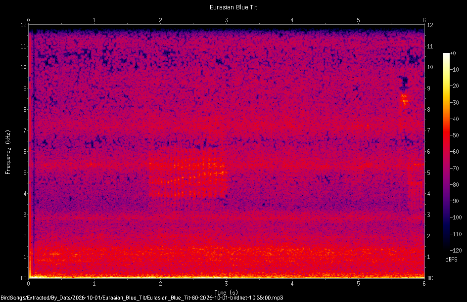 Spectrogram of a Eurasian Blue Tit recorded at 10:35:00