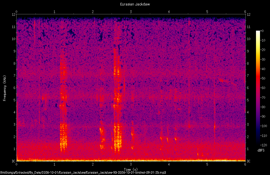 Spectrogram of a Eurasian Jackdaw recorded at 09:01:25