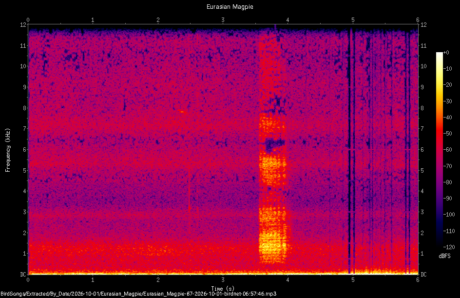 Spectrogram of a Eurasian Magpie recorded at 06:57:46