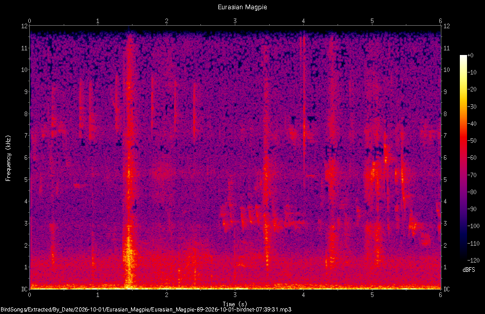 Spectrogram of a Eurasian Magpie recorded at 07:39:31