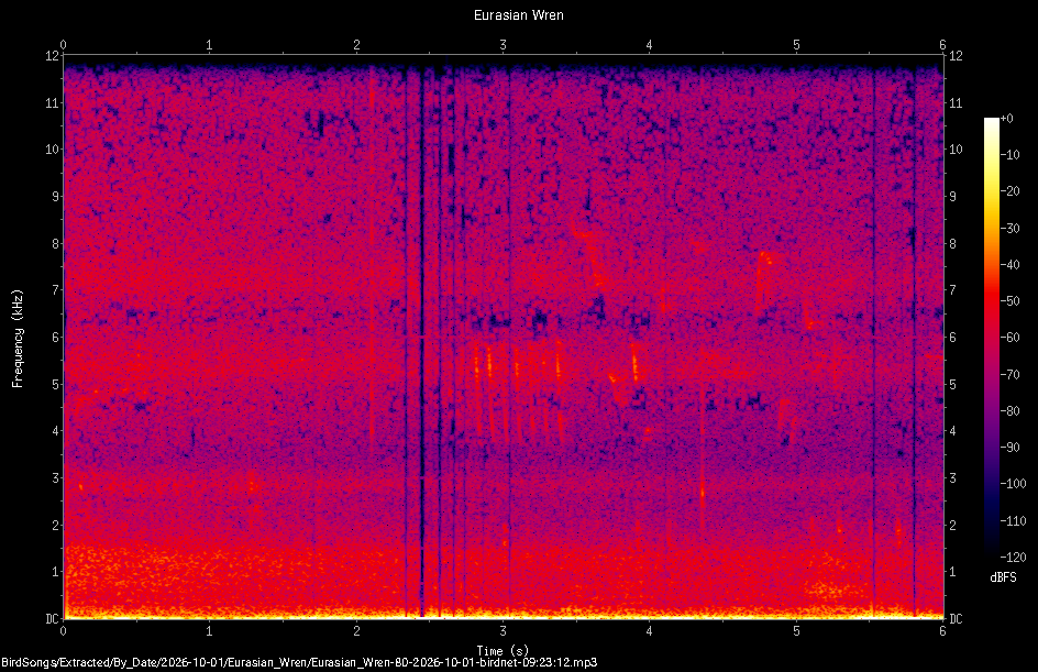 Spectrogram of a Eurasian Wren recorded at 09:23:12