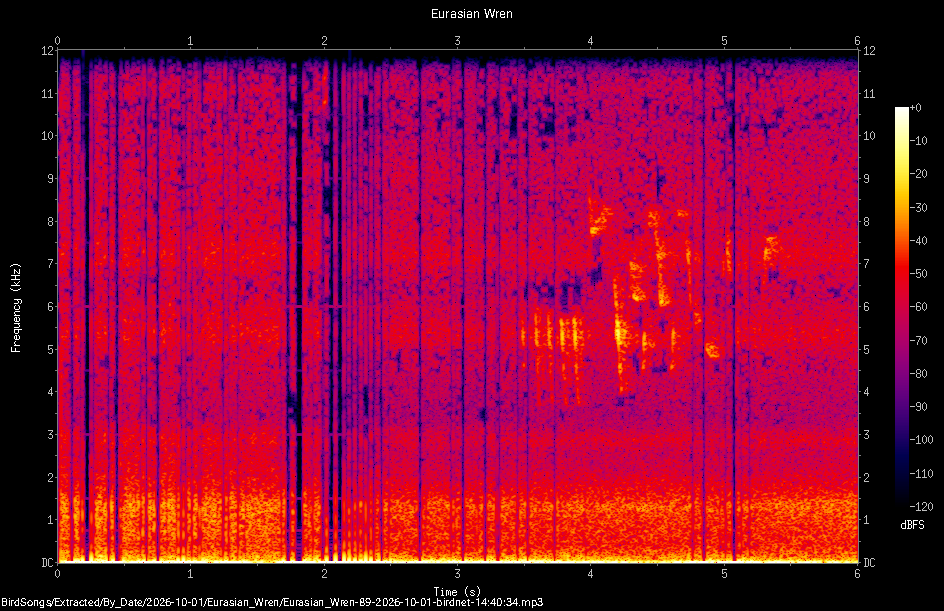 Spectrogram of a Eurasian Wren recorded at 14:40:34