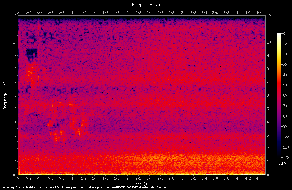 Spectrogram of a European Robin recorded at 07:19:39