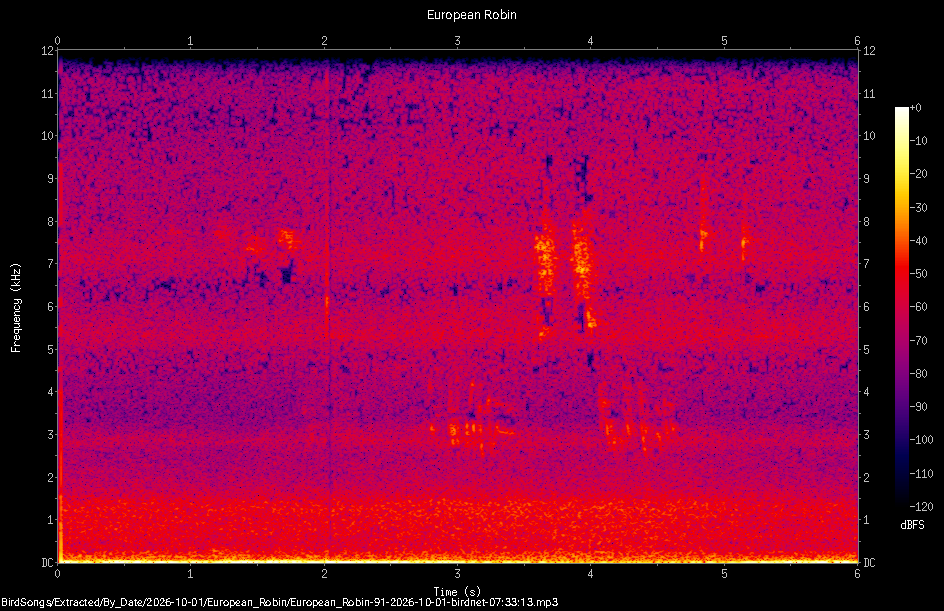 Spectrogram of a European Robin recorded at 07:33:13