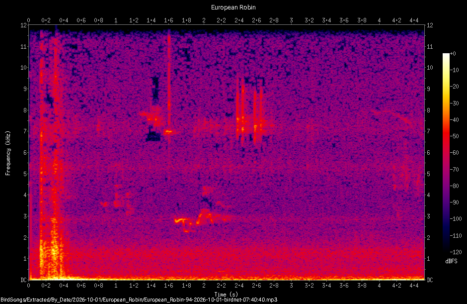 Spectrogram of a European Robin recorded at 07:40:40
