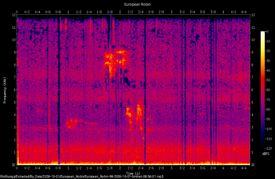 Spectrogram of a European Robin recorded at 08:56:01