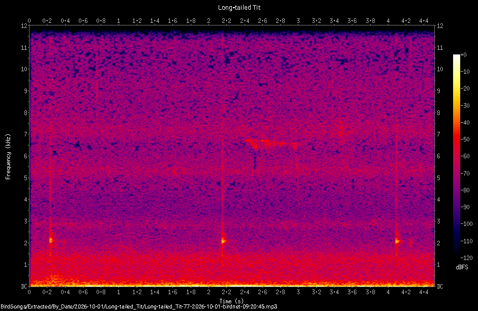 Spectrogram of a Long-tailed Tit recorded at 09:20:45