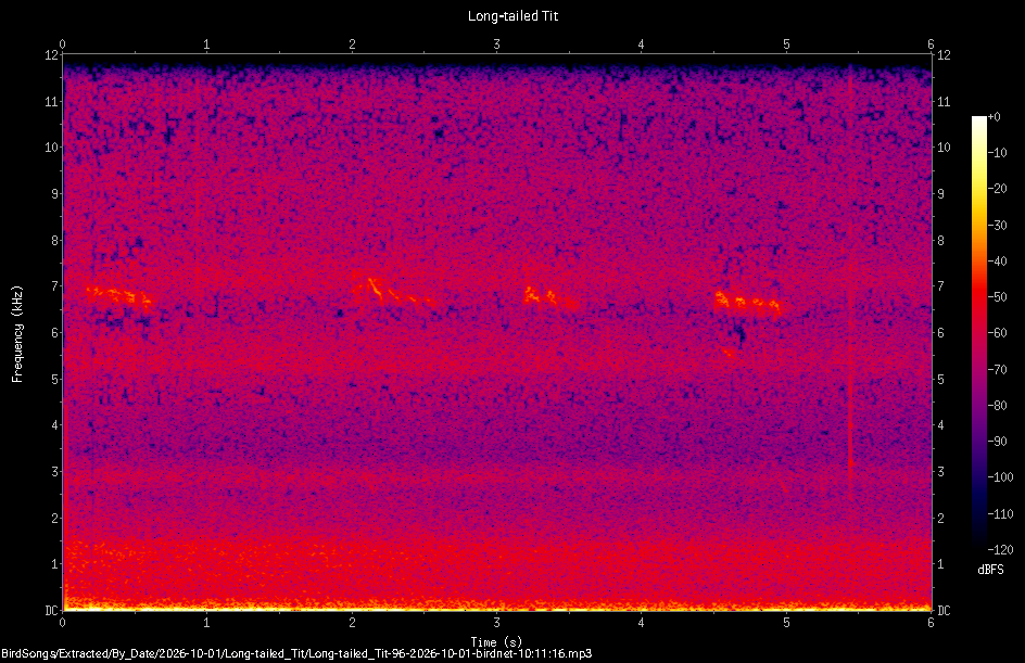 Spectrogram of a Long-tailed Tit recorded at 10:11:16