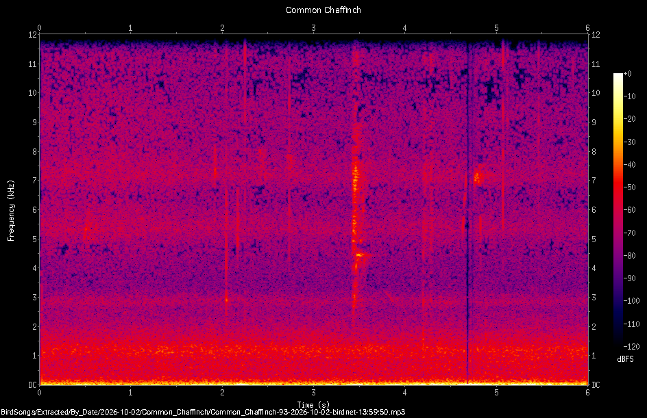 Spectrogram of a Common Chaffinch recorded at 13:59:50