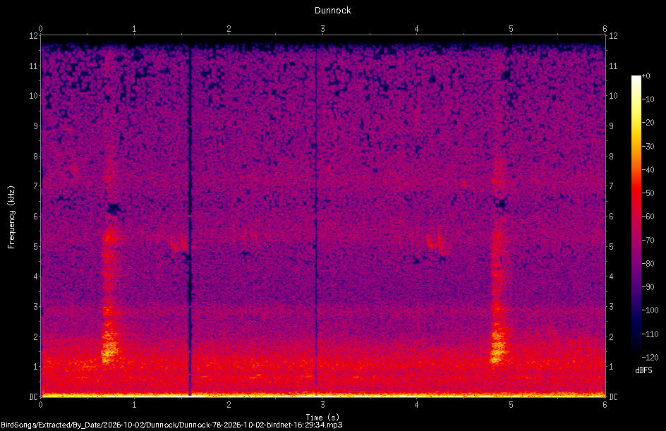 Spectrogram of a Dunnock recorded at 16:29:34