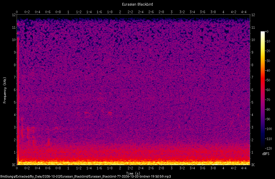 Spectrogram of a Eurasian Blackbird recorded at 19:50:59