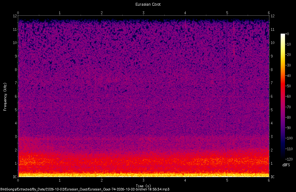 Spectrogram of a Eurasian Coot recorded at 18:55:34
