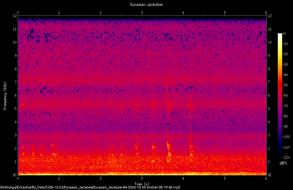 Spectrogram of a Eurasian Jackdaw recorded at 08:19:56
