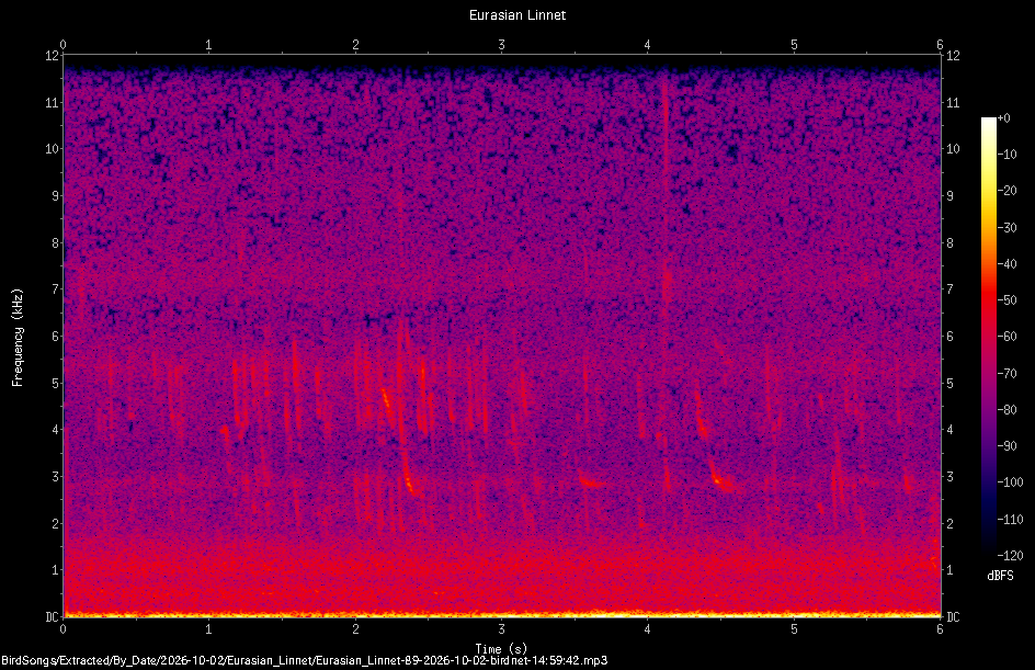Spectrogram of a Eurasian Linnet recorded at 14:59:42