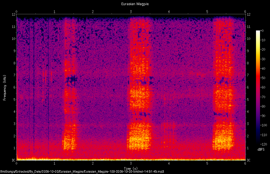 Spectrogram of a Eurasian Magpie recorded at 14:51:45
