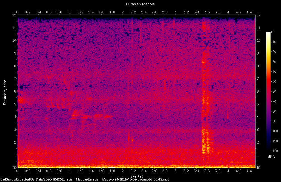 Spectrogram of a Eurasian Magpie recorded at 07:50:45