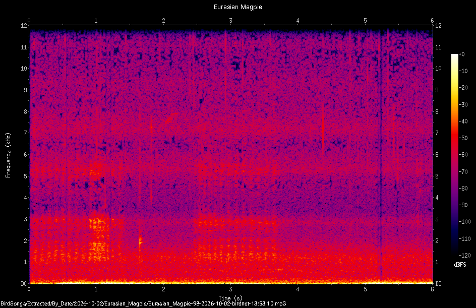 Spectrogram of a Eurasian Magpie recorded at 13:53:10