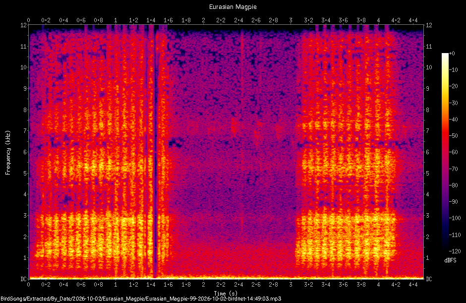 Spectrogram of a Eurasian Magpie recorded at 14:49:03