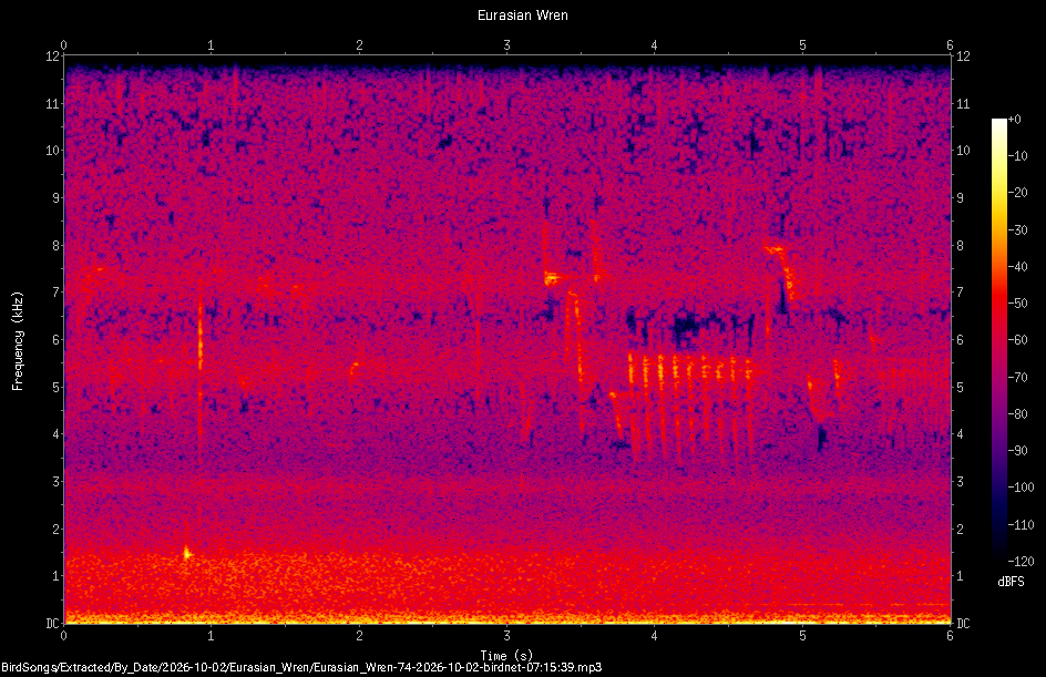 Spectrogram of a Eurasian Wren recorded at 07:15:39