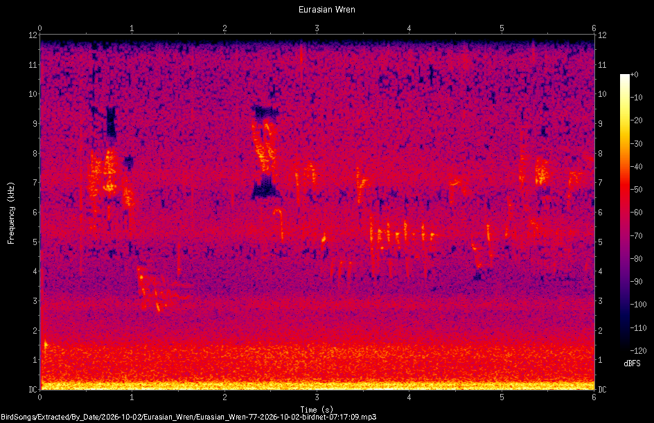 Spectrogram of a Eurasian Wren recorded at 07:17:09