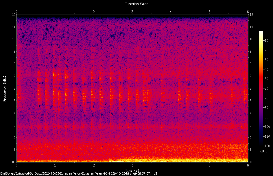 Spectrogram of a Eurasian Wren recorded at 08:07:07