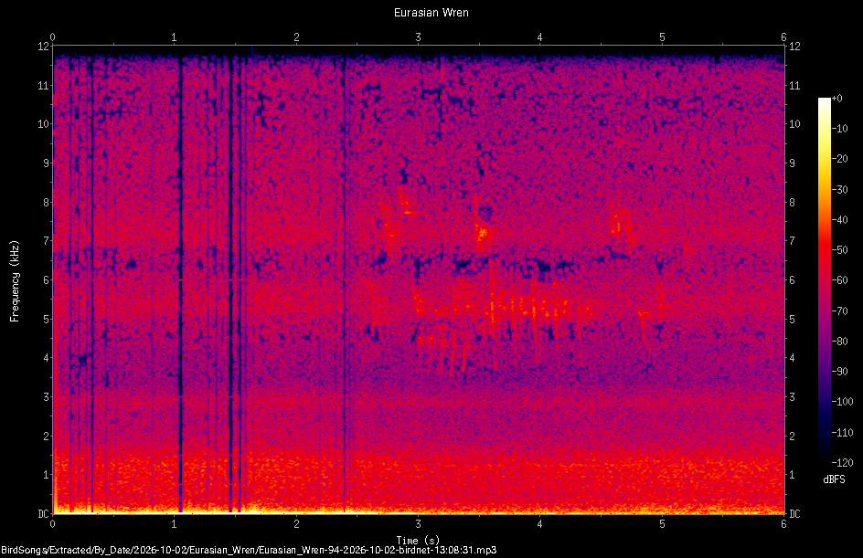 Spectrogram of a Eurasian Wren recorded at 13:08:31