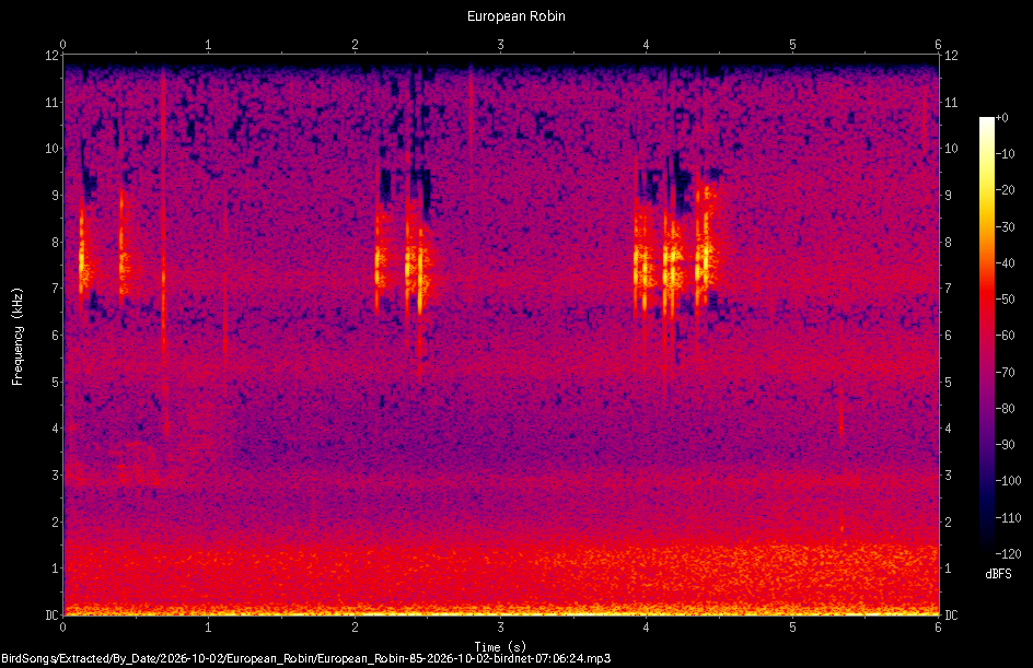 Spectrogram of a European Robin recorded at 07:06:24
