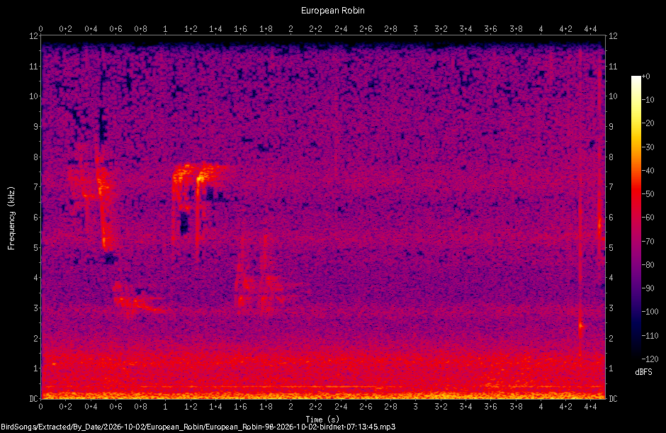 Spectrogram of a European Robin recorded at 07:13:45