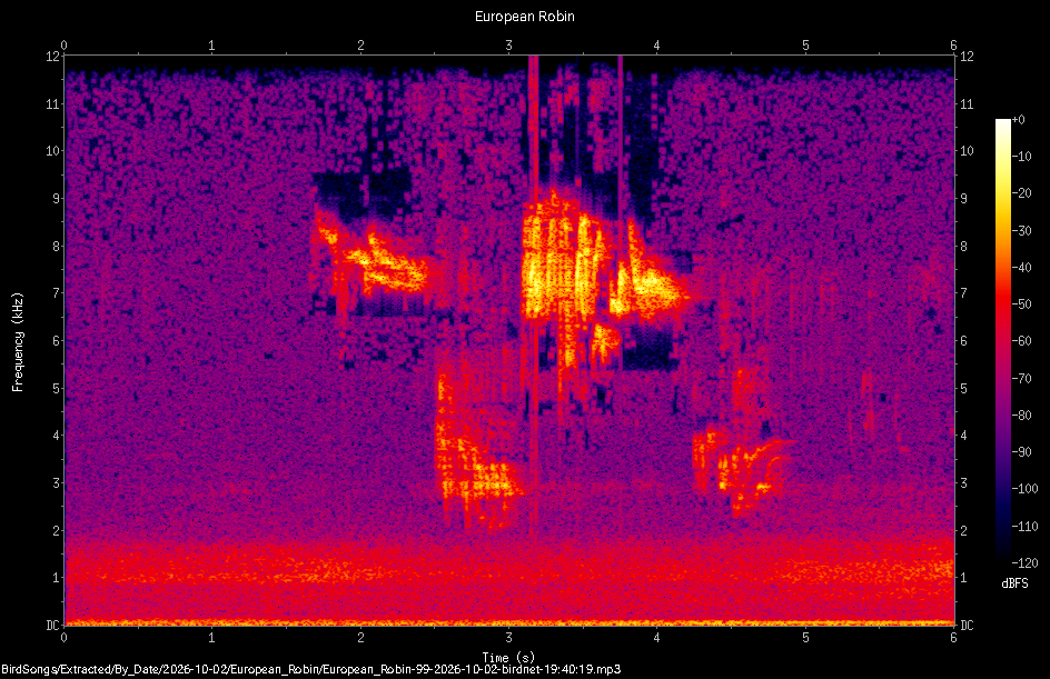 Spectrogram of a European Robin recorded at 19:40:19