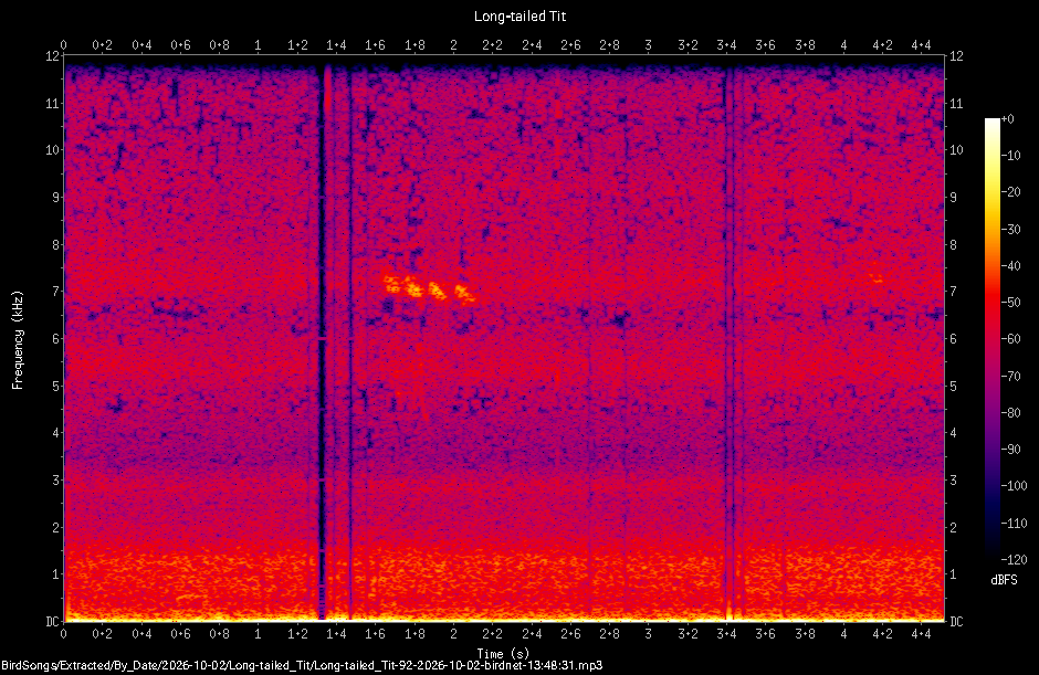 Spectrogram of a Long-tailed Tit recorded at 13:48:31
