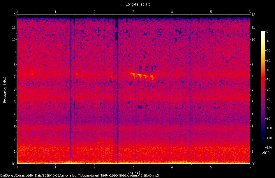 Spectrogram of a Long-tailed Tit recorded at 13:50:40