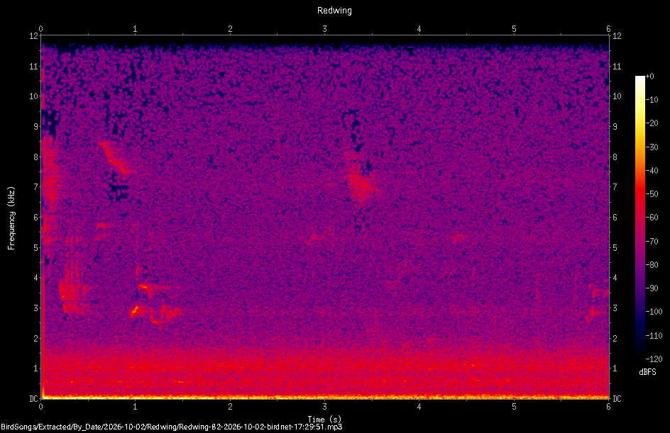 Spectrogram of a Redwing recorded at 17:29:51