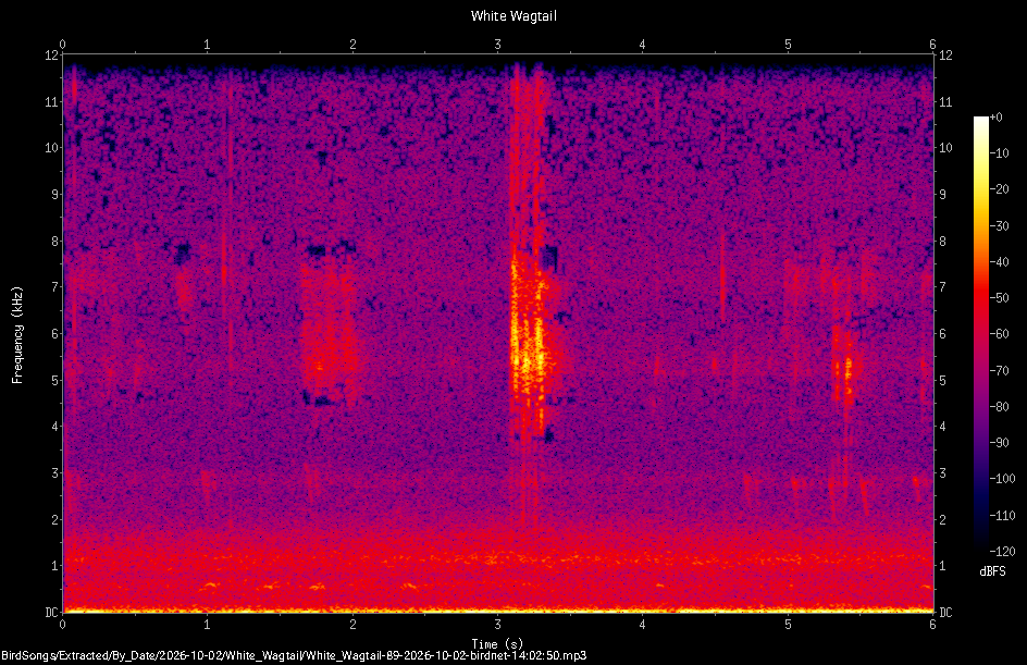 Spectrogram of a White Wagtail recorded at 14:02:50