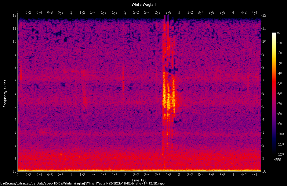 Spectrogram of a White Wagtail recorded at 14:12:30